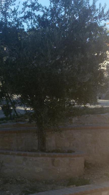 Agriturismo Villalta Ponte Felcino ภายนอก รูปภาพ