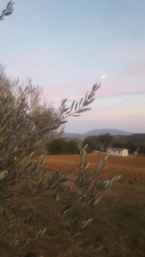 Agriturismo Villalta Ponte Felcino ภายนอก รูปภาพ